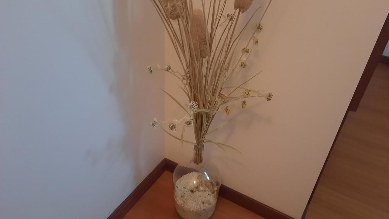 Ana Paula House Apartment อาเวโร ภายนอก รูปภาพ